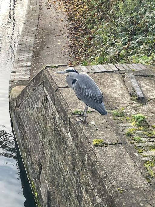 ホテル Comfy Canal Boat In Little Venice For Family & Friends ロンドン エクステリア 写真